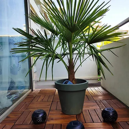 Kuenstler-suite 7 - Koeln, Netflix, Phantasialand