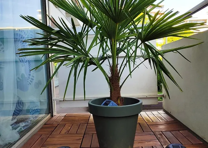 Kuenstler-suite 7 - Koeln, Netflix, Phantasialand